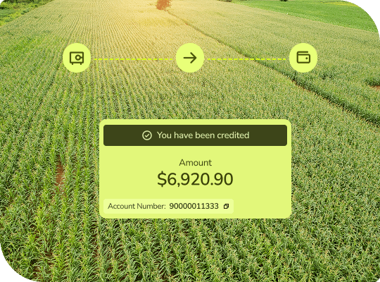 wallet service and solutions for businesses and fintech