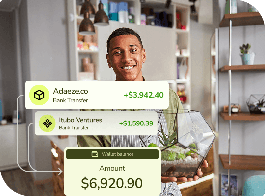 wallet service and solutions for businesses and fintech