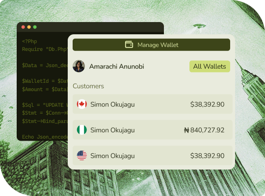 wallet service and solutions for businesses and fintech